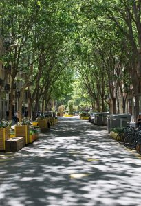 Nou acompanyament a les entitats per facilitar l’ús de l’espai públic